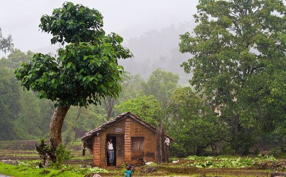 Тест: Дом Дерево Человек
