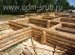 Construction Of Tree Houses