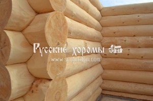 Бревно ручной рубки Руза_(8).jpg