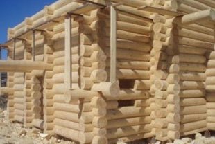 Строим дом из бревна